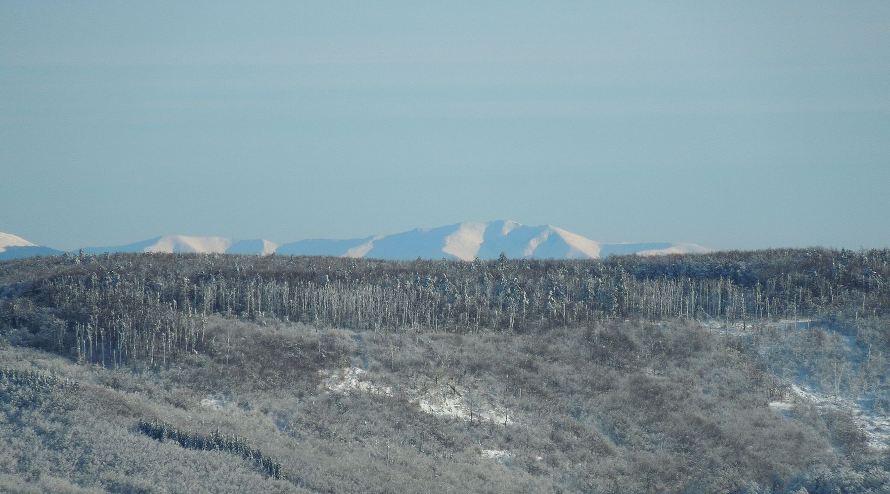 Frost-covered forest ridge in the Carpathians at first light
